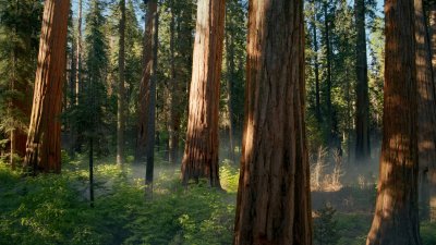 macOS Sequoia Sunrise