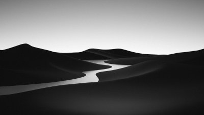 Black and White Landscape