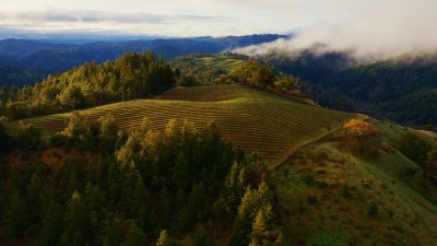 macOS Sonoma Horizon